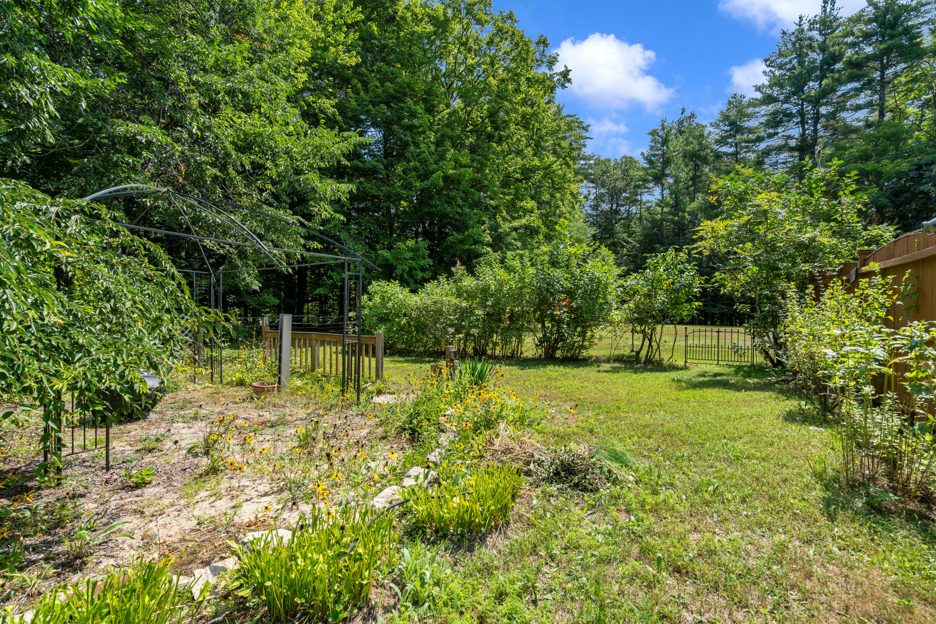 535 Harrison Road Naples, ME 04055 - Photo 62 of 80 Backyard