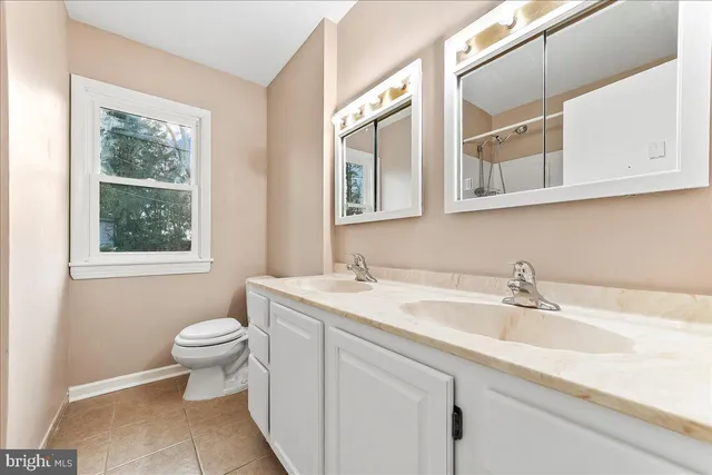 a bathroom with a sink and a toilet