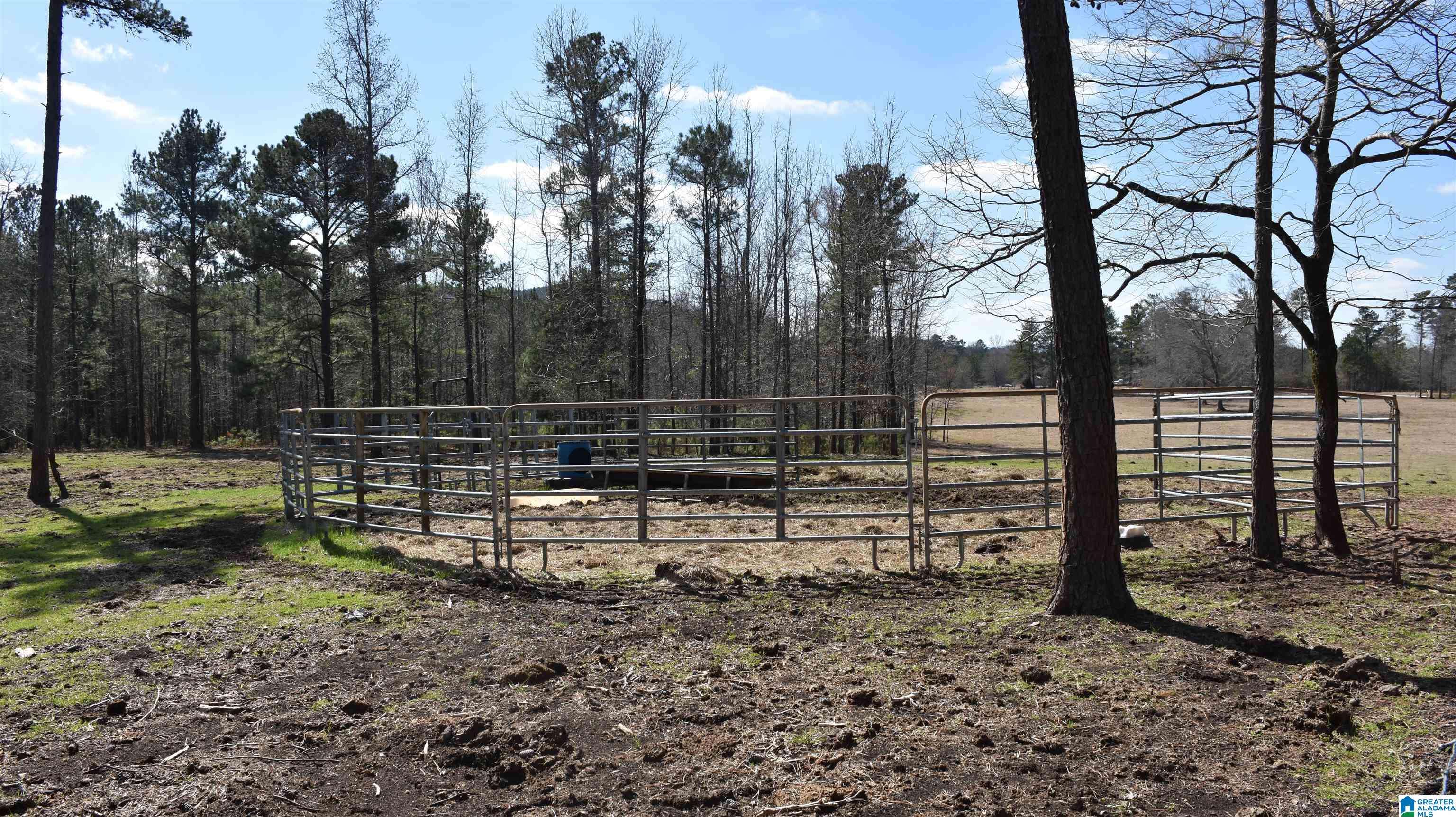 2003 New Maryland Road Alpine, AL 35014 - Photo 14 of 38