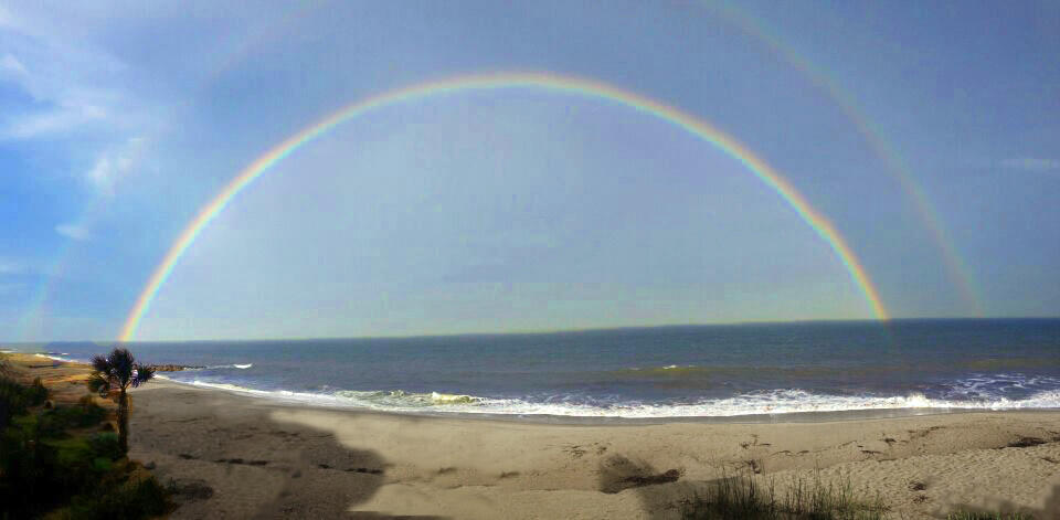 1 Battery Park Road Edisto Island, SC 29438 - Photo 56 of 72 edisto rainbow