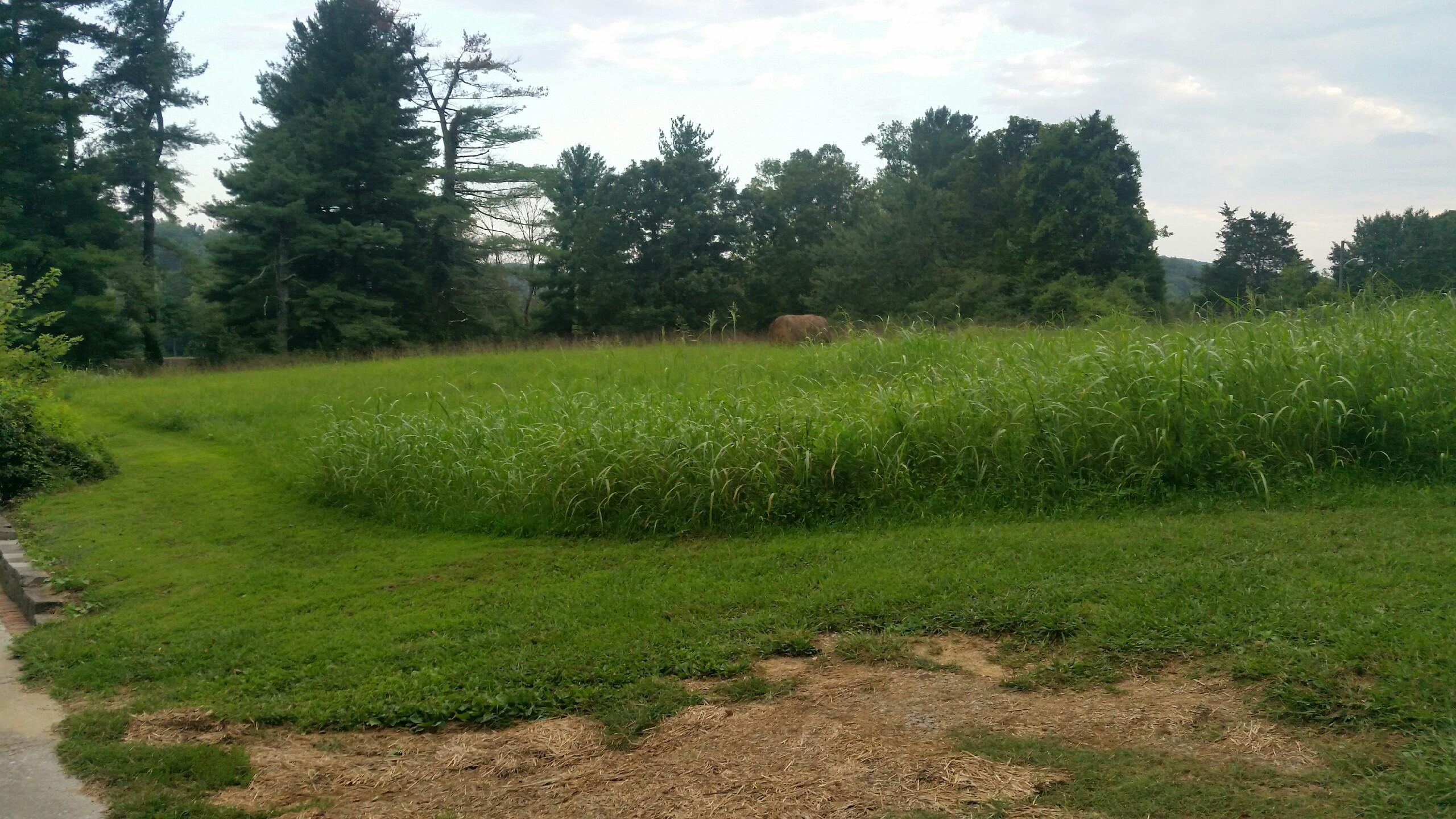 20170822_192157