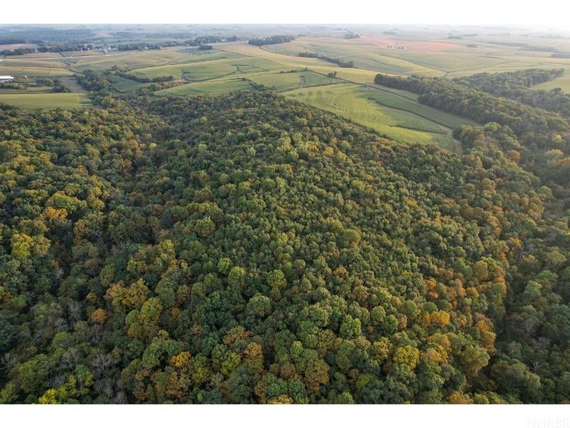 0 Gold Mine Road McGregor, IA 52157 - Photo 1 of 27 Gallery Image 1