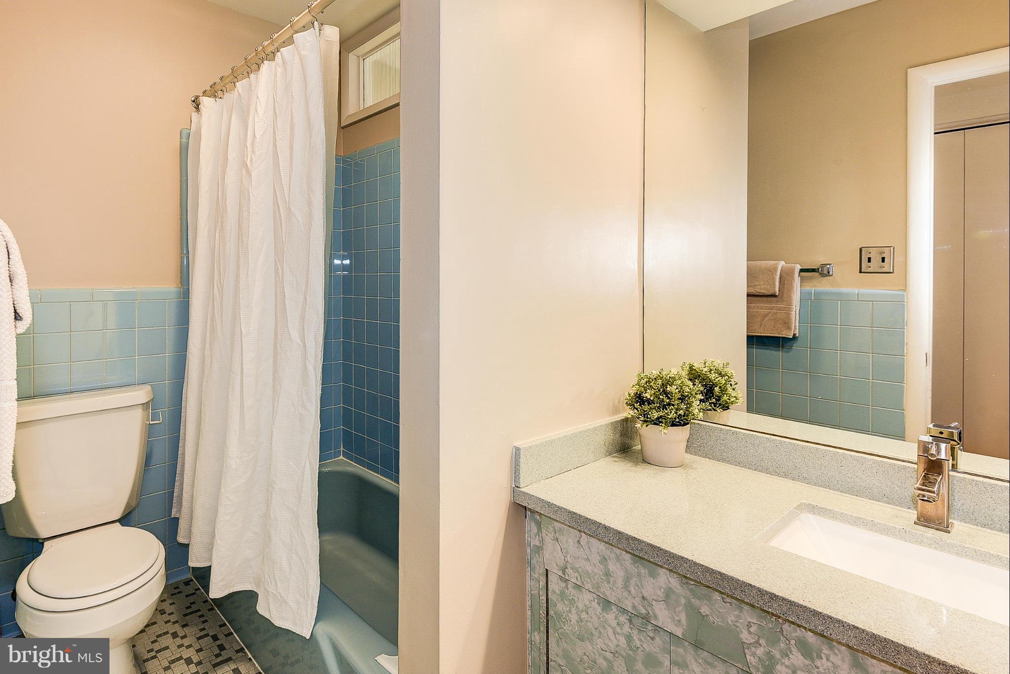 204 Bluff Terrace Silver Spring, MD 20902 - Photo 20 of 30 Bath