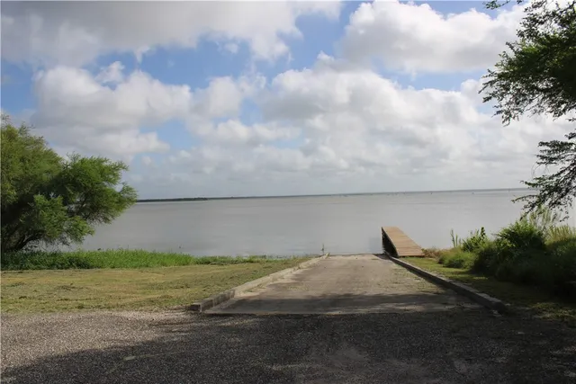 a view of a yard with plants and a large tree
