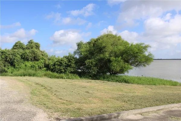 a view of a lake from a yard
