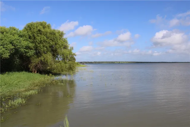 $65,000 | 0 Lot 2 Vista Fina Drive, Sandia, TX 78383