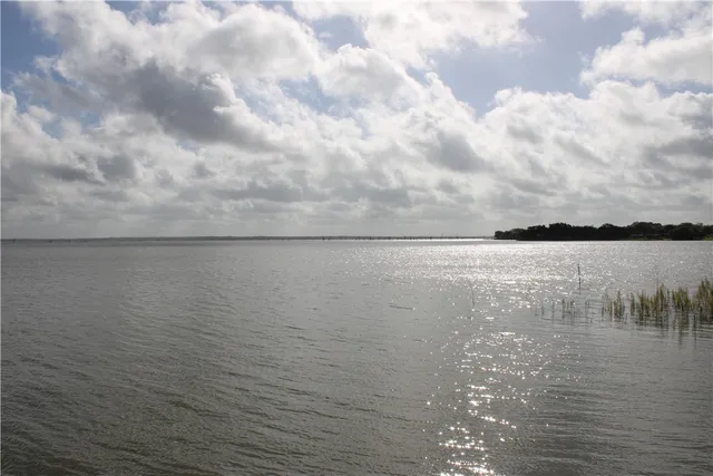 $65,000 | 0 Lot 2 Vista Fina Drive, Sandia, TX 78383