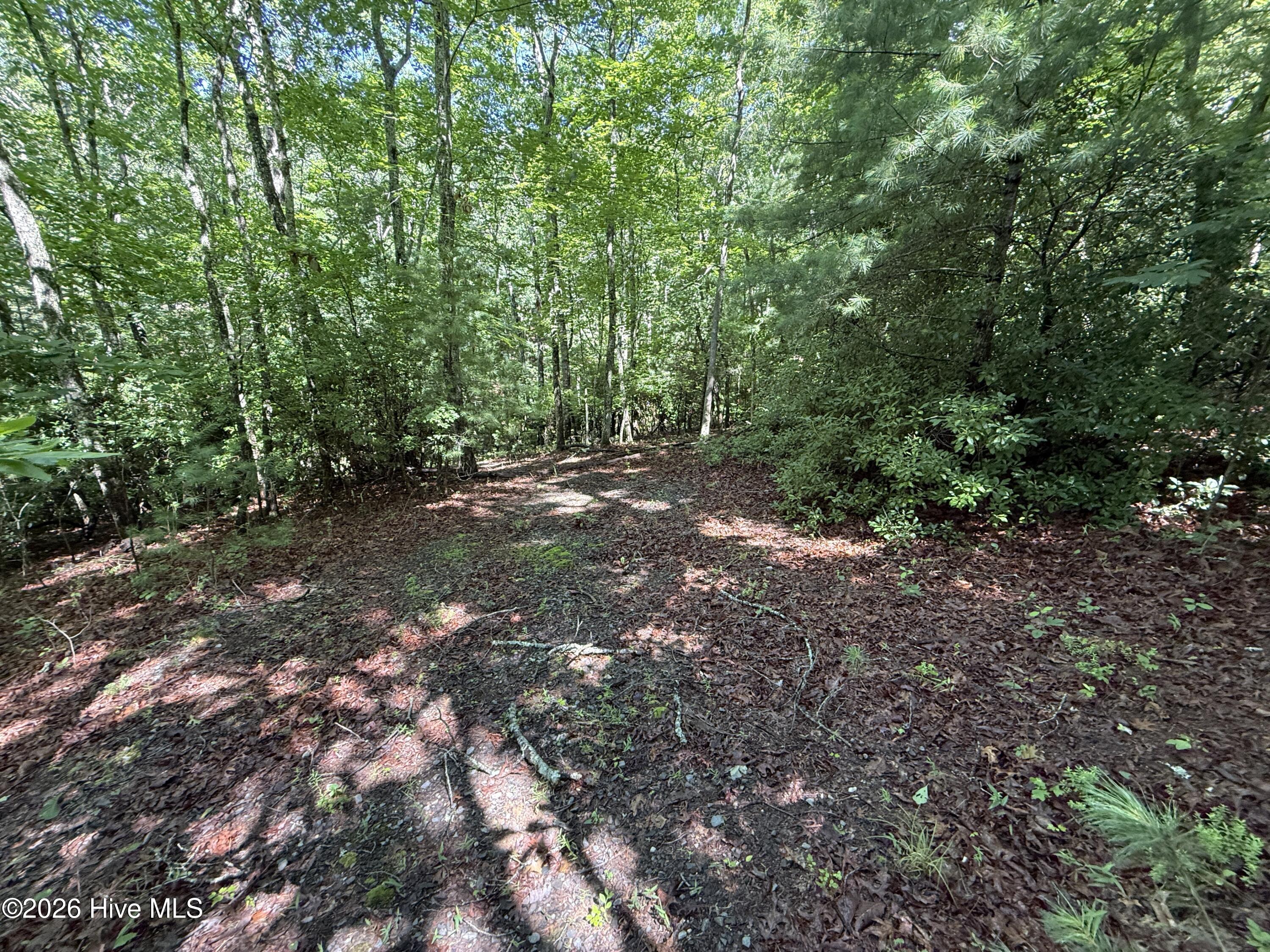81 Roberts Road Murphy, NC 28906 - Photo 5 of 9