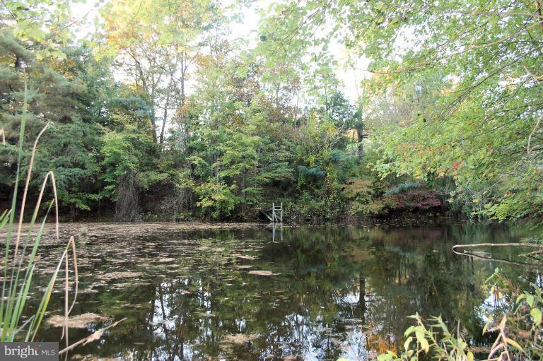 0 Conde Road Marshall, VA 20115 - Photo 5 of 10 Pond