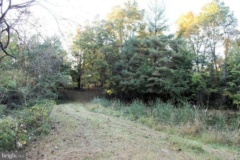 0 Conde Road Marshall, VA 20115 - Photo 6 of 10 Land