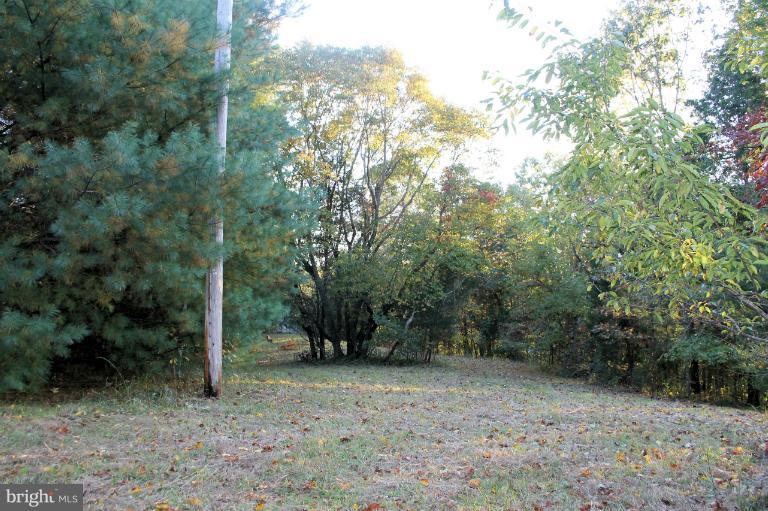 0 Conde Road Marshall, VA 20115 - Photo 8 of 10 Land