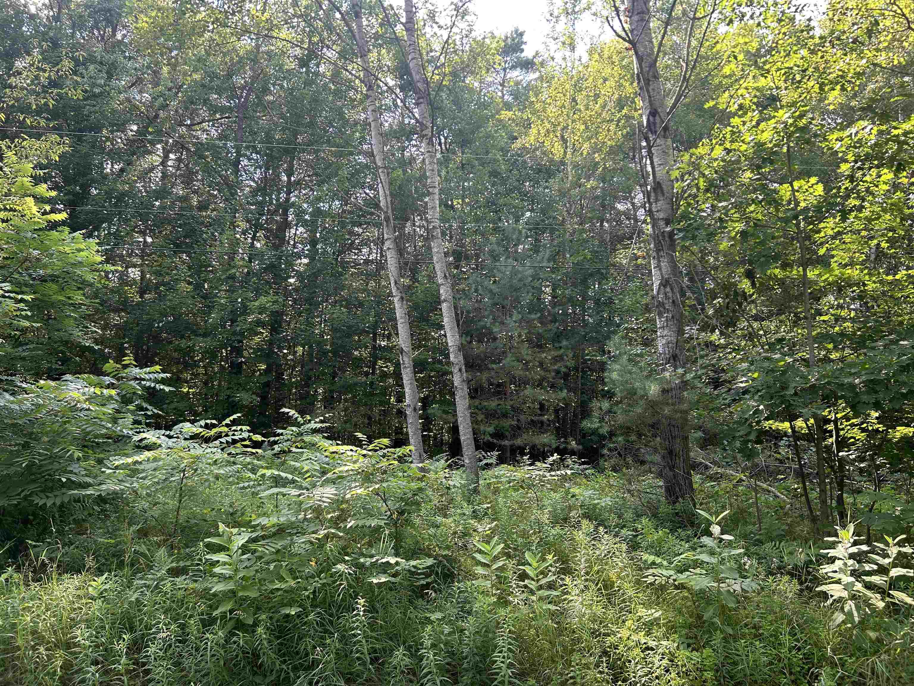 Lot 2 North Harding Avenue Harrison, MI 48625 - Photo 6 of 6
