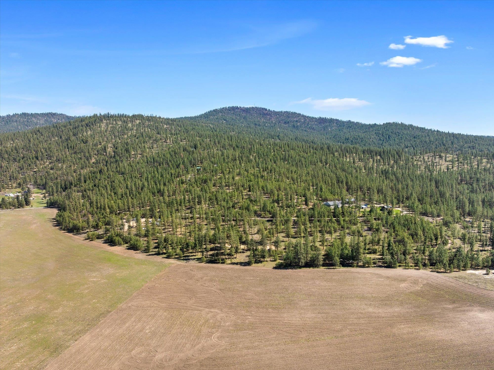 5521 C Happy Hill Road Tumtum, WA 99034 - Photo 44 of 49