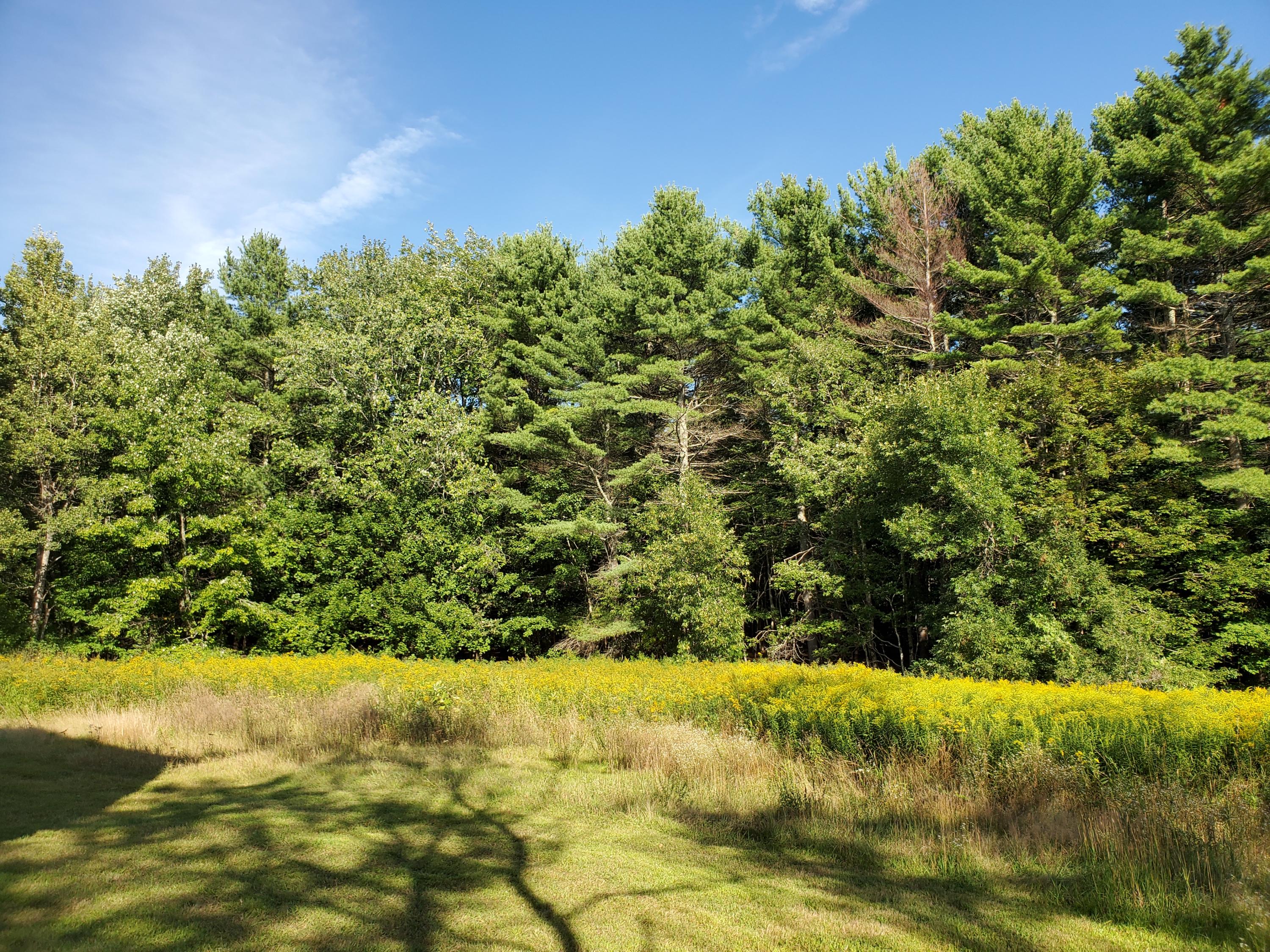 135 Storer Road Brunswick, ME 04011 - Photo 1 of 7 20200901_161029