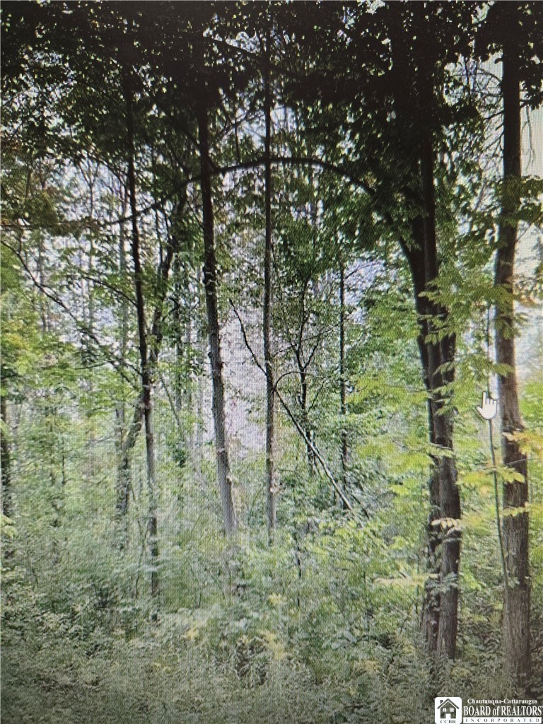 5 West Rt-5 Seneca Falls, NY 13148 - Photo 1 of 1