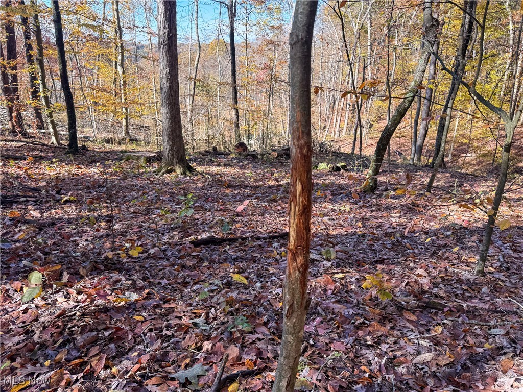 Schmeltzer Road Bremen, OH 43107 - Photo 25 of 37 View of nature