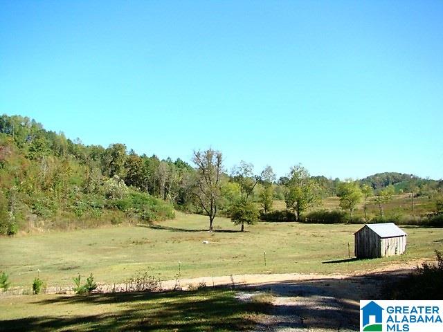 889 Hunter Road Ohatchee, AL 36271 - Photo 34 of 44