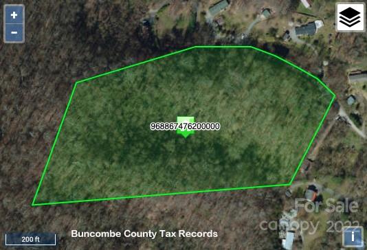 999999 Patton Cove Road Swannanoa, NC 28778 - Photo 2 of 23 Gallery Image 2