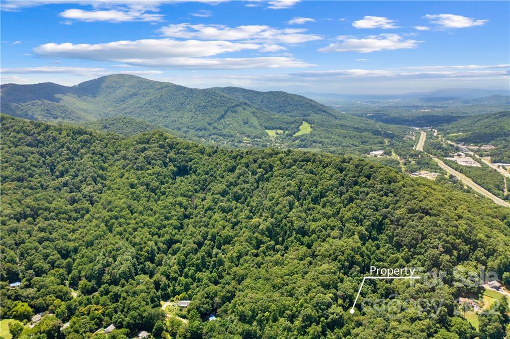 999999 Patton Cove Road Swannanoa, NC 28778 - Photo 6 of 23 Gallery Image 6