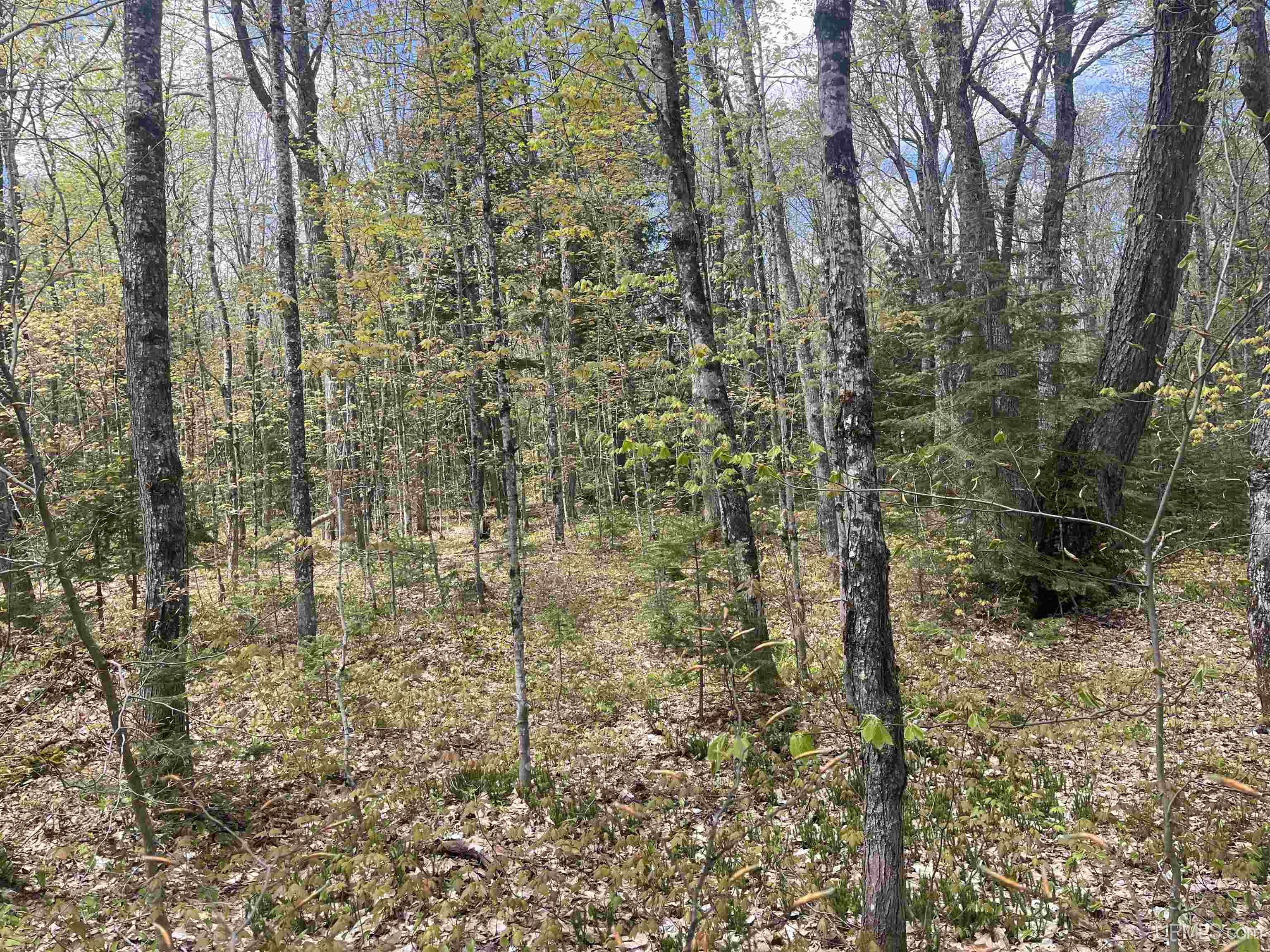 450 Rd Seney Mi 49883 Road Seney, MI 49883 - Photo 12 of 33
