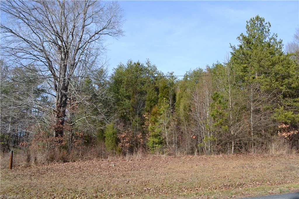 41-acres Raleigh Road Madison, NC 27025 - Photo 1 of 6