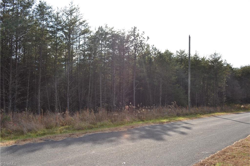 41-acres Raleigh Road Madison, NC 27025 - Photo 2 of 6