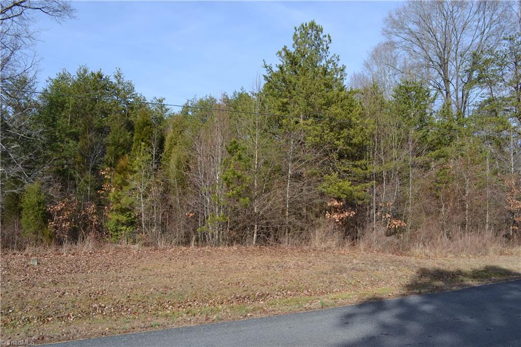 41-acres Raleigh Road Madison, NC 27025 - Photo 3 of 6