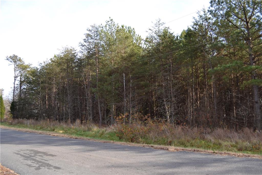 41-acres Raleigh Road Madison, NC 27025 - Photo 4 of 6