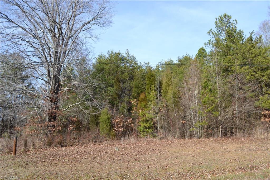 41-acres Raleigh Road Madison, NC 27025 - Photo 5 of 6