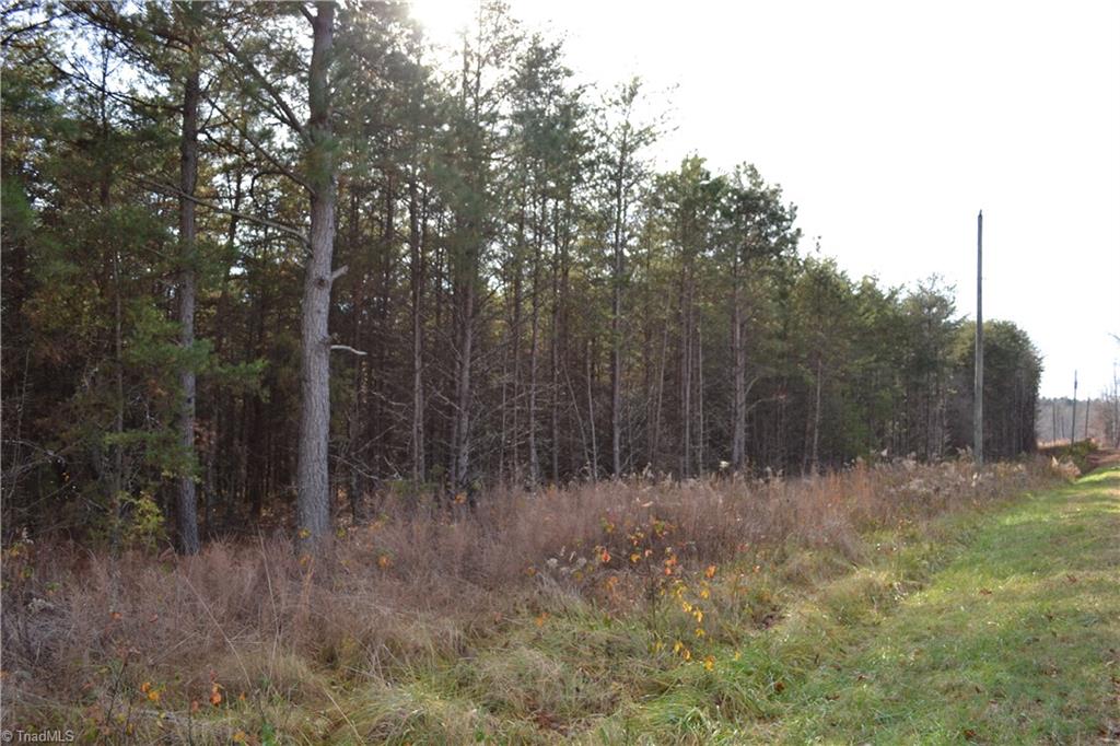 41-acres Raleigh Road Madison, NC 27025 - Photo 6 of 6