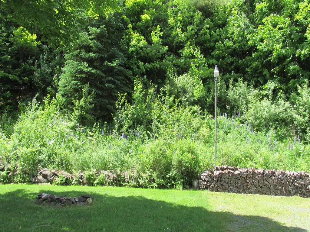 201 Bartlett Brook Road Pomfret, VT 05067 - Photo 16 of 20