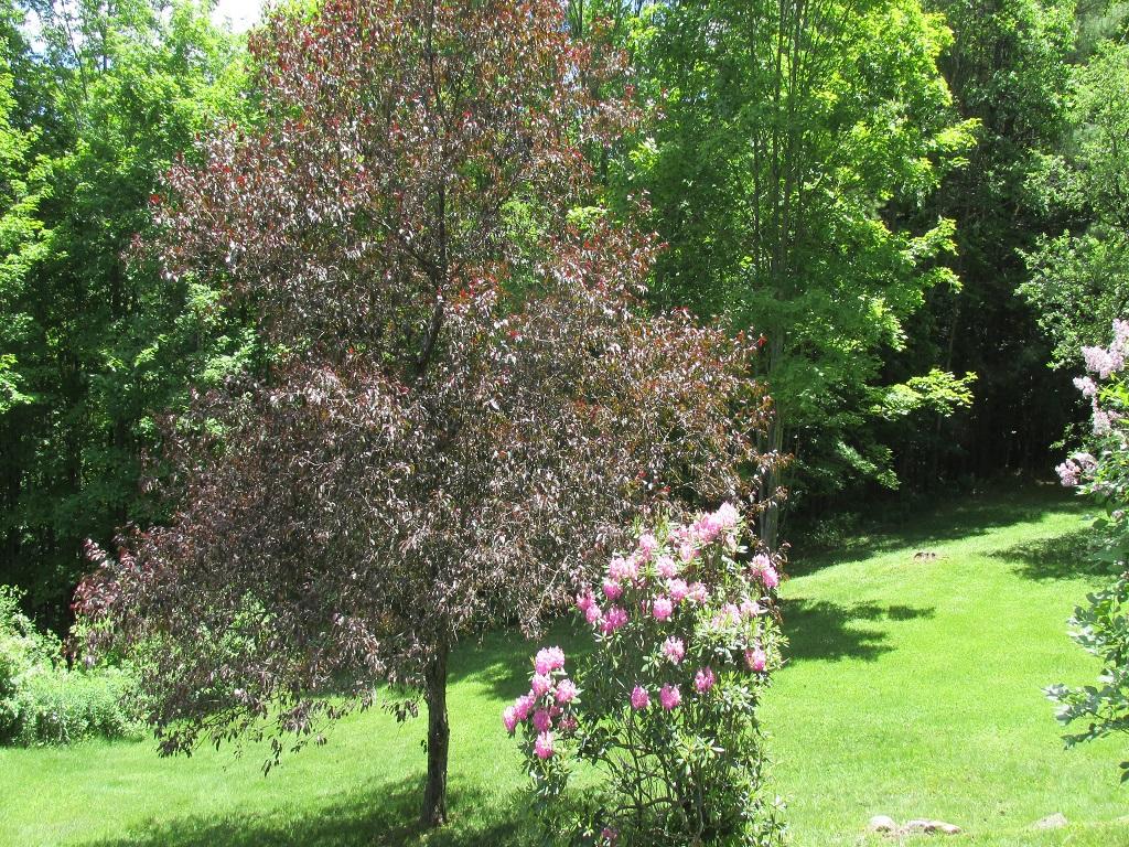 201 Bartlett Brook Road Pomfret, VT 05067 - Photo 17 of 20