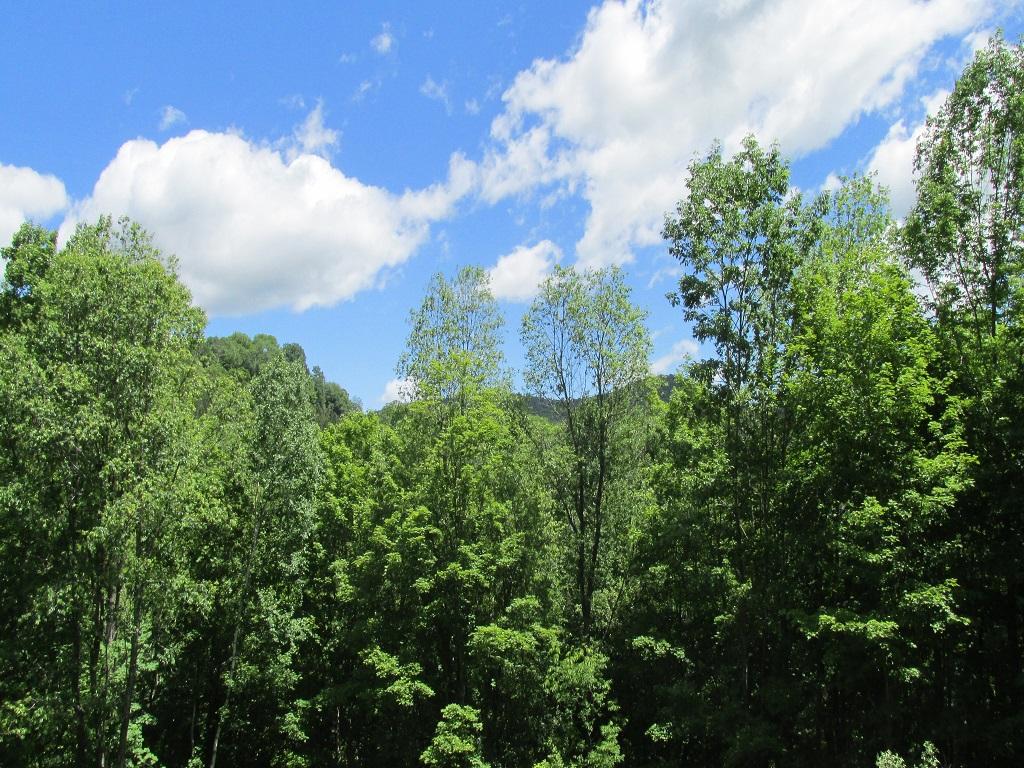 201 Bartlett Brook Road Pomfret, VT 05067 - Photo 18 of 20