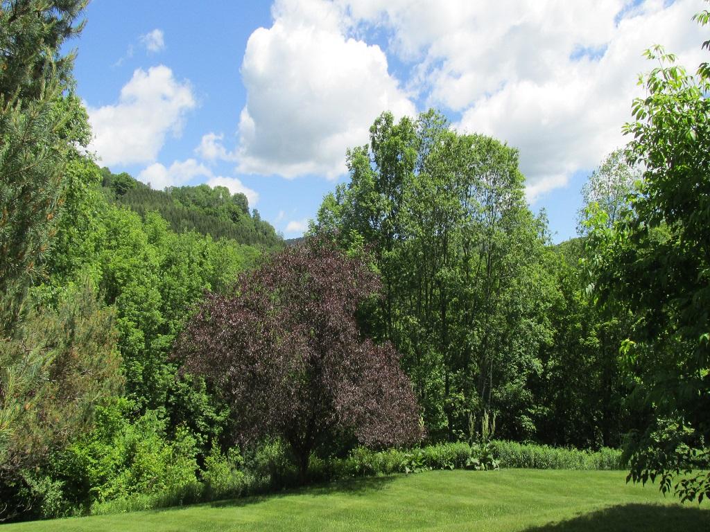 201 Bartlett Brook Road Pomfret, VT 05067 - Photo 20 of 20