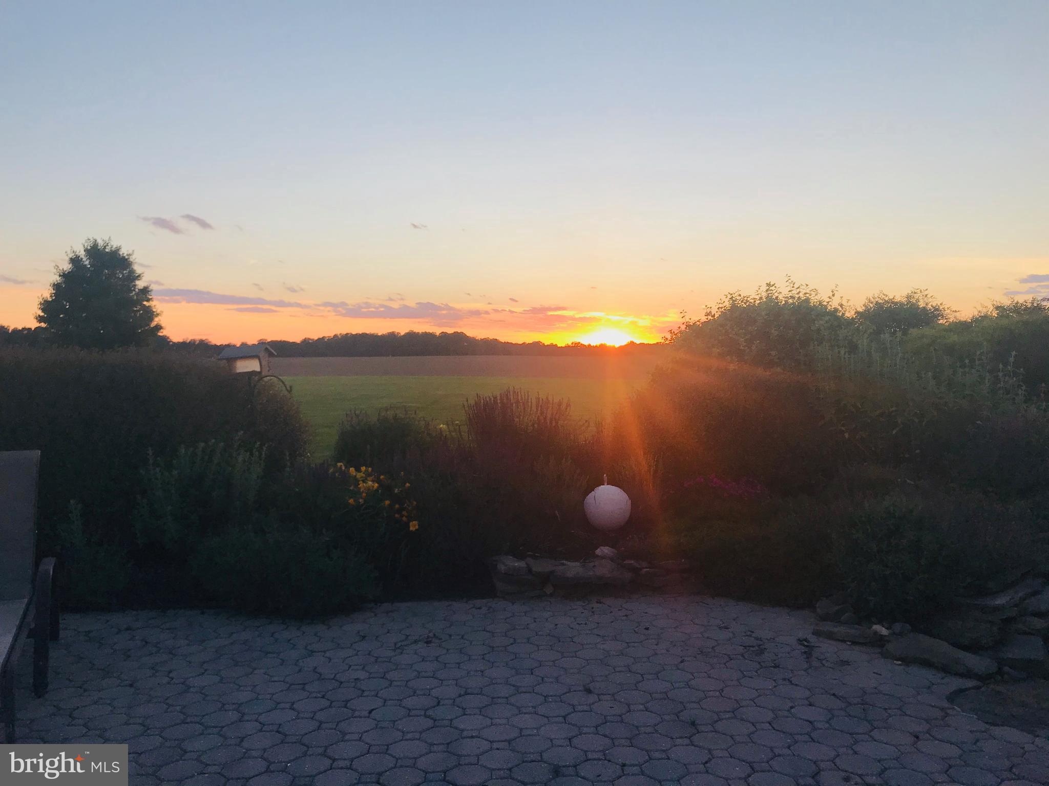 209 Beck Farm Road Centreville, MD 21617 - Photo 3 of 55 a view of a backyard of a house