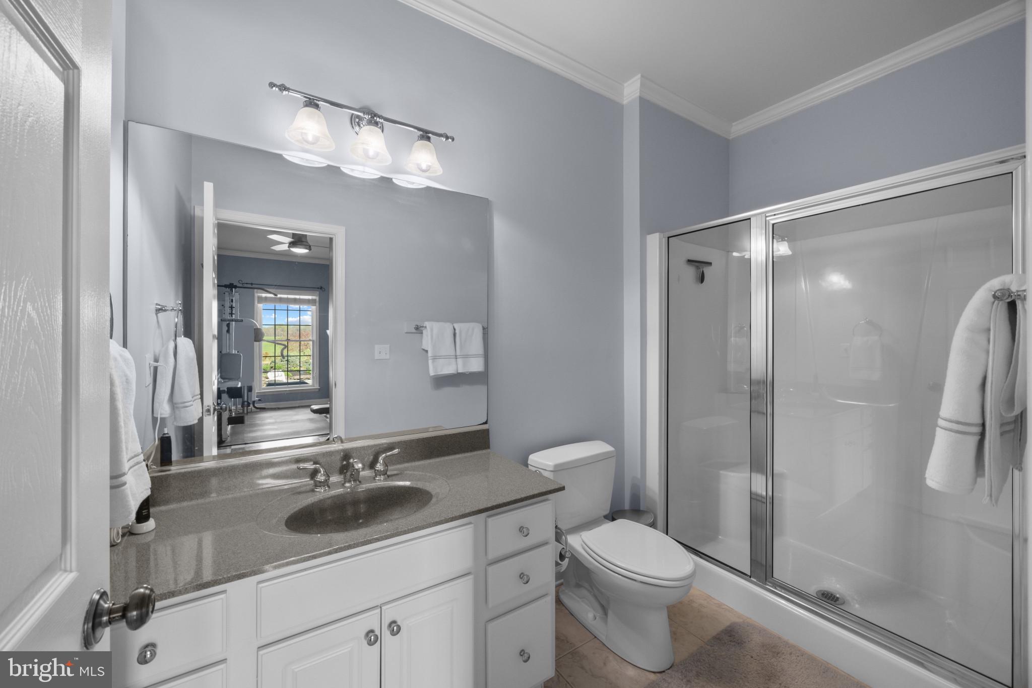 209 Beck Farm Road Centreville, MD 21617 - Photo 38 of 55 a bathroom with a sink toilet and shower