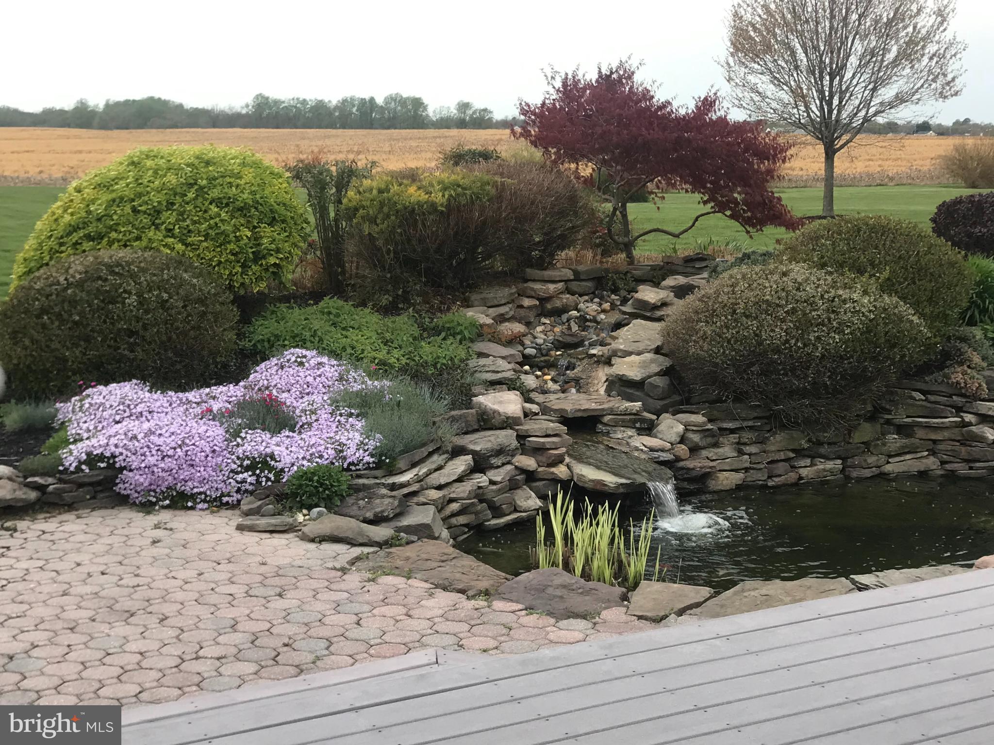 209 Beck Farm Road Centreville, MD 21617 - Photo 44 of 55 a view of a lake from a yard