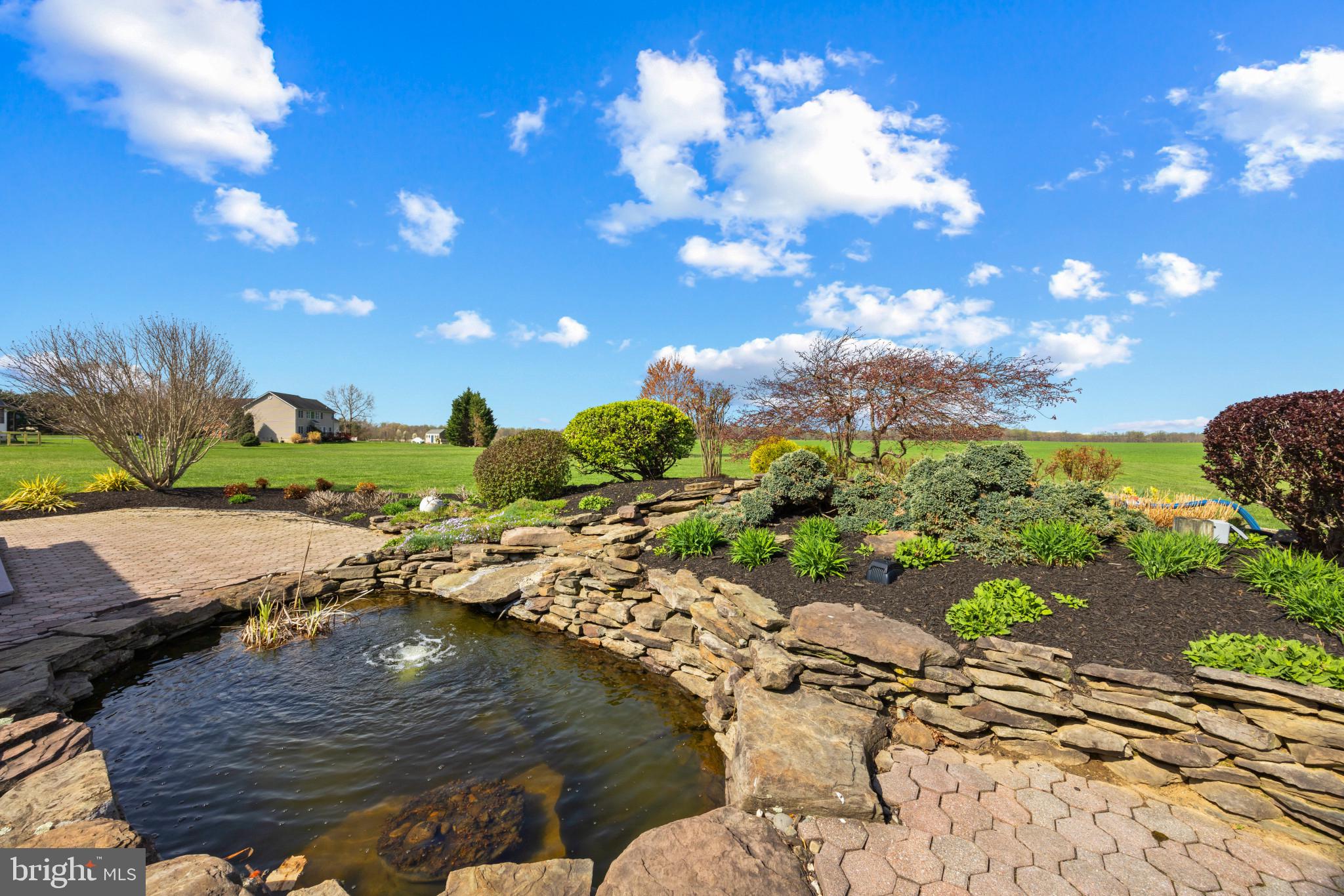 209 Beck Farm Road Centreville, MD 21617 - Photo 46 of 55 a view of a yard