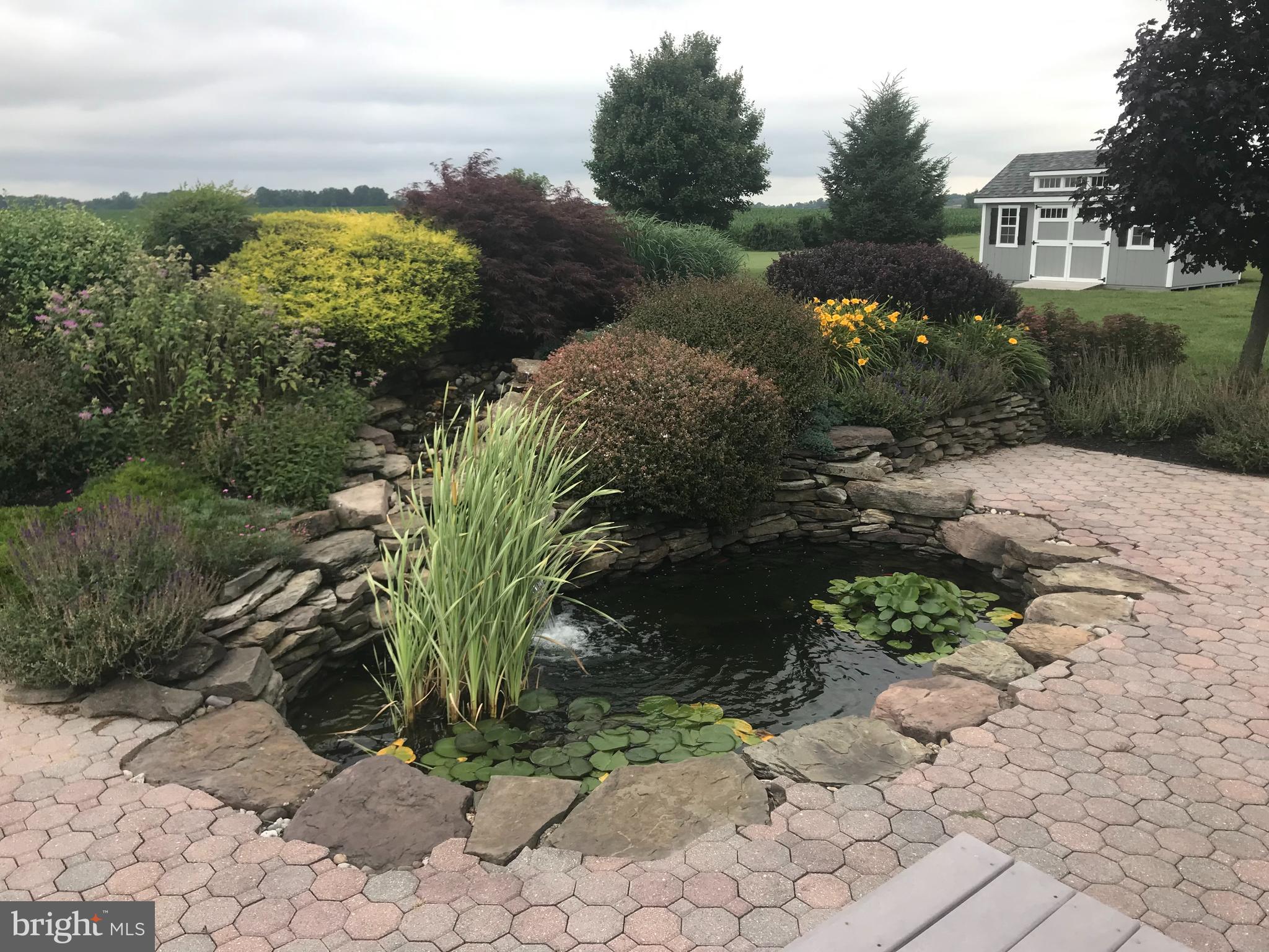 209 Beck Farm Road Centreville, MD 21617 - Photo 48 of 55 a view of a yard with plants and large trees