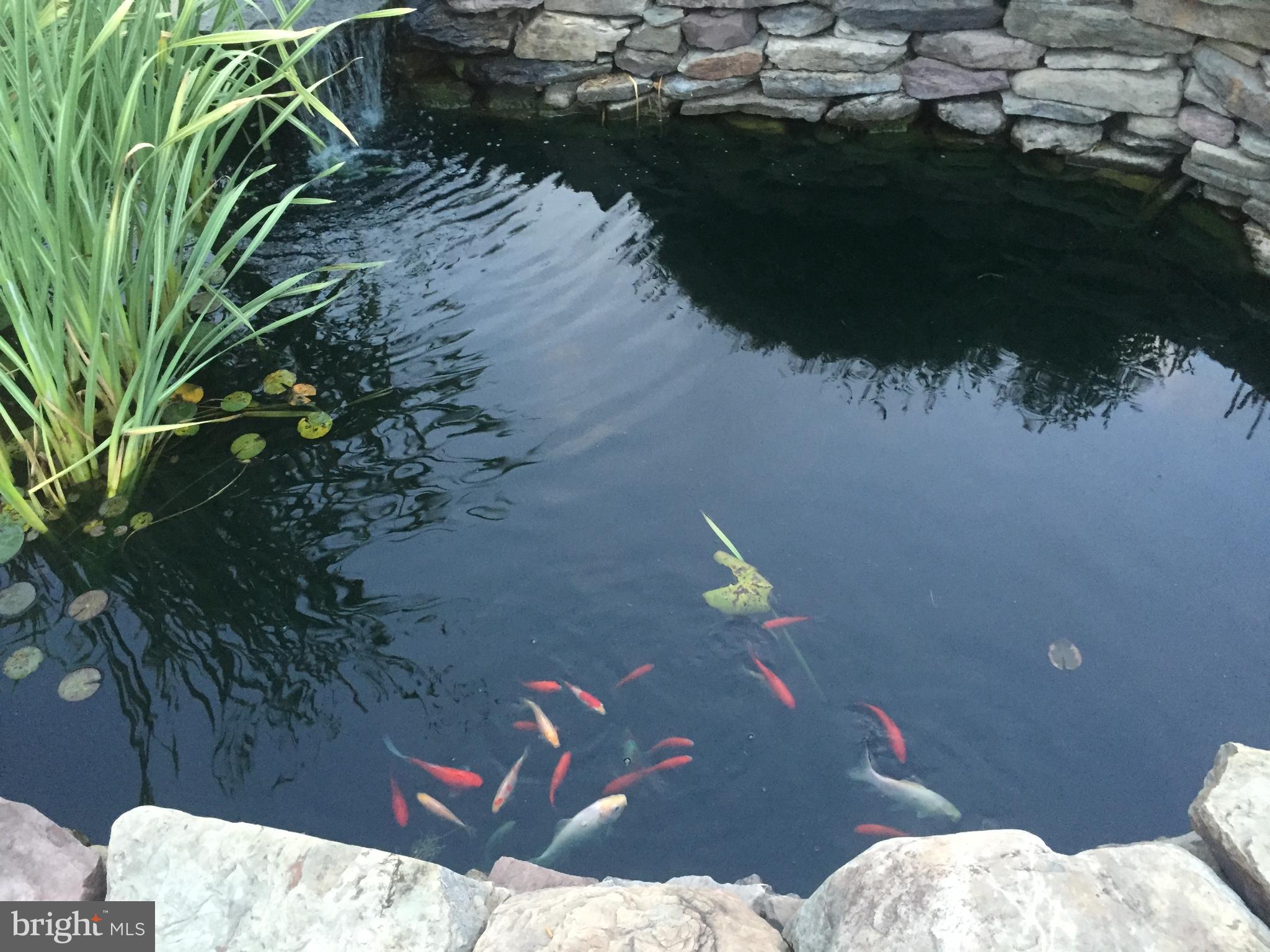 209 Beck Farm Road Centreville, MD 21617 - Photo 49 of 55 a view of a backyard of the house