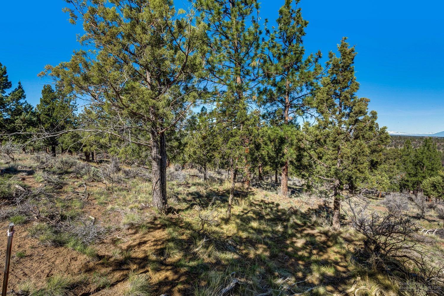 1685 Northwest Wild Rye Circle Bend, OR 97703 - Photo 16 of 17 Additional Photo