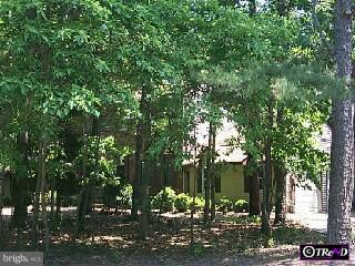 575 Atsion Road Shamong, NJ 08088 - Photo 1 of 1 a view of a tree in front of a tree