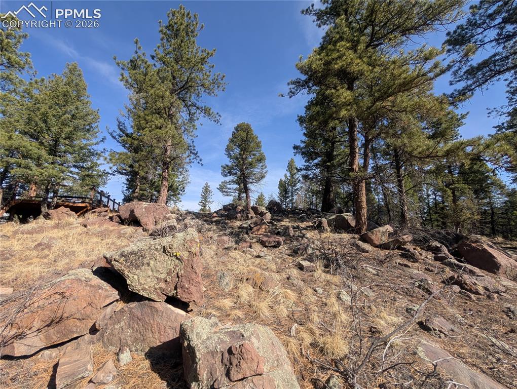 1176 Trail Creek Road Lake George, CO 80827 - Photo 20 of 34