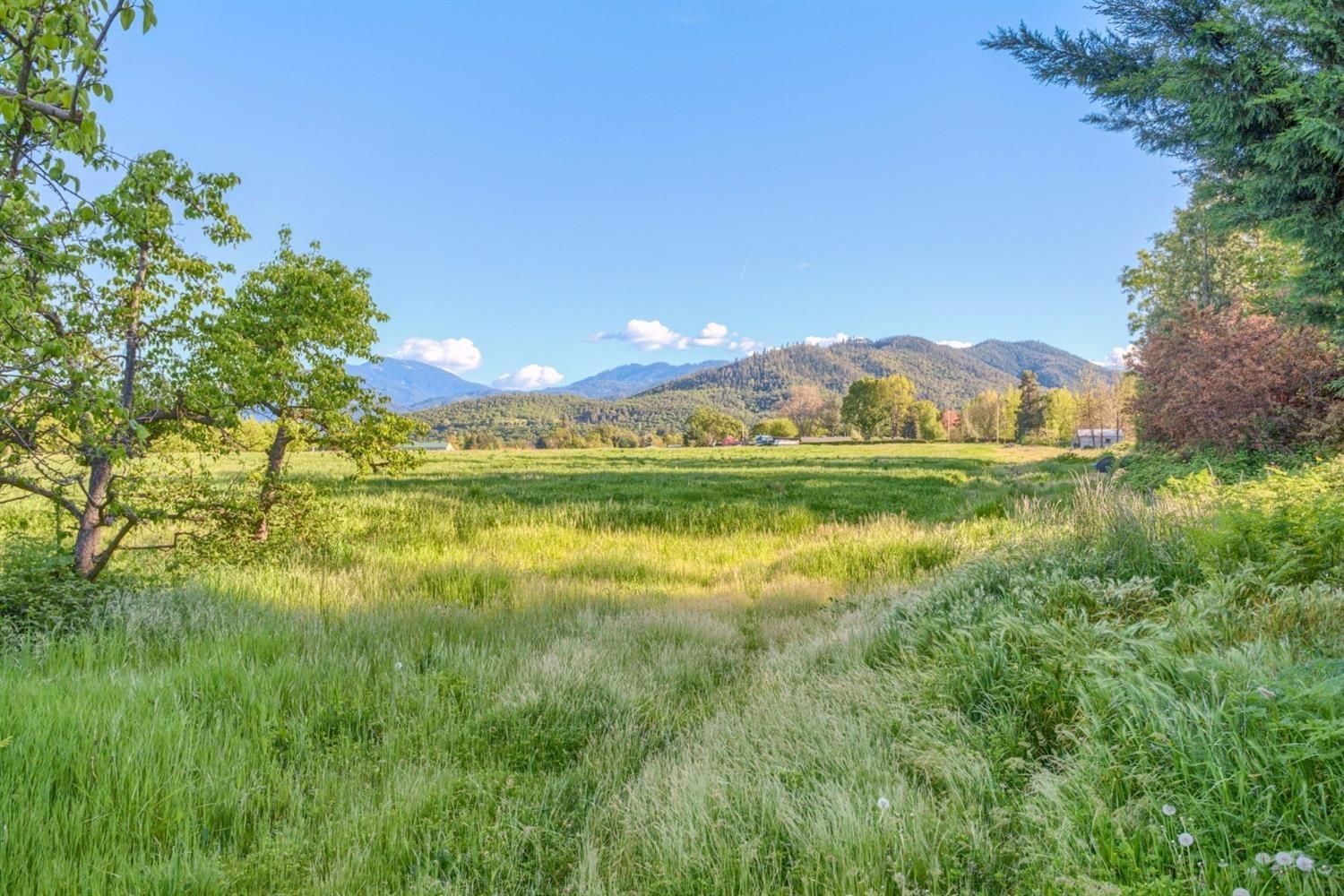 1975 Houston Road Phoenix, OR 97535 - Photo 31 of 33 Looking across the open acreage toward t