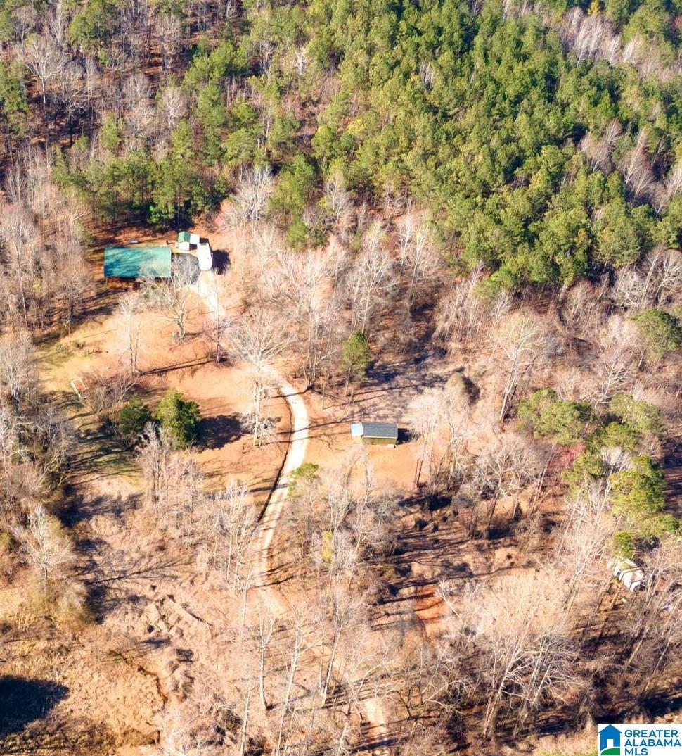 5181 Idaho Road Talladega, AL 35160 - Photo 4 of 35