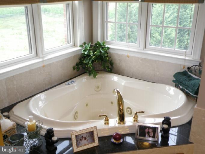3833 Wayson Road Davidsonville, MD 21035 - Photo 11 of 29 Bath (Master)