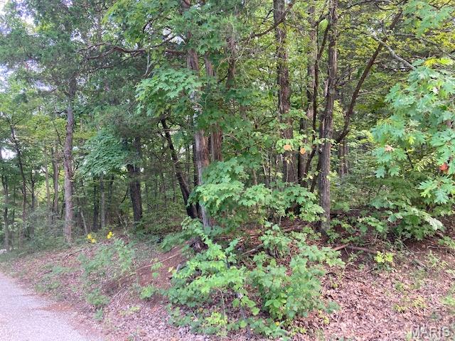 O McNamee Road Pacific, MO 63069 - Photo 2 of 2