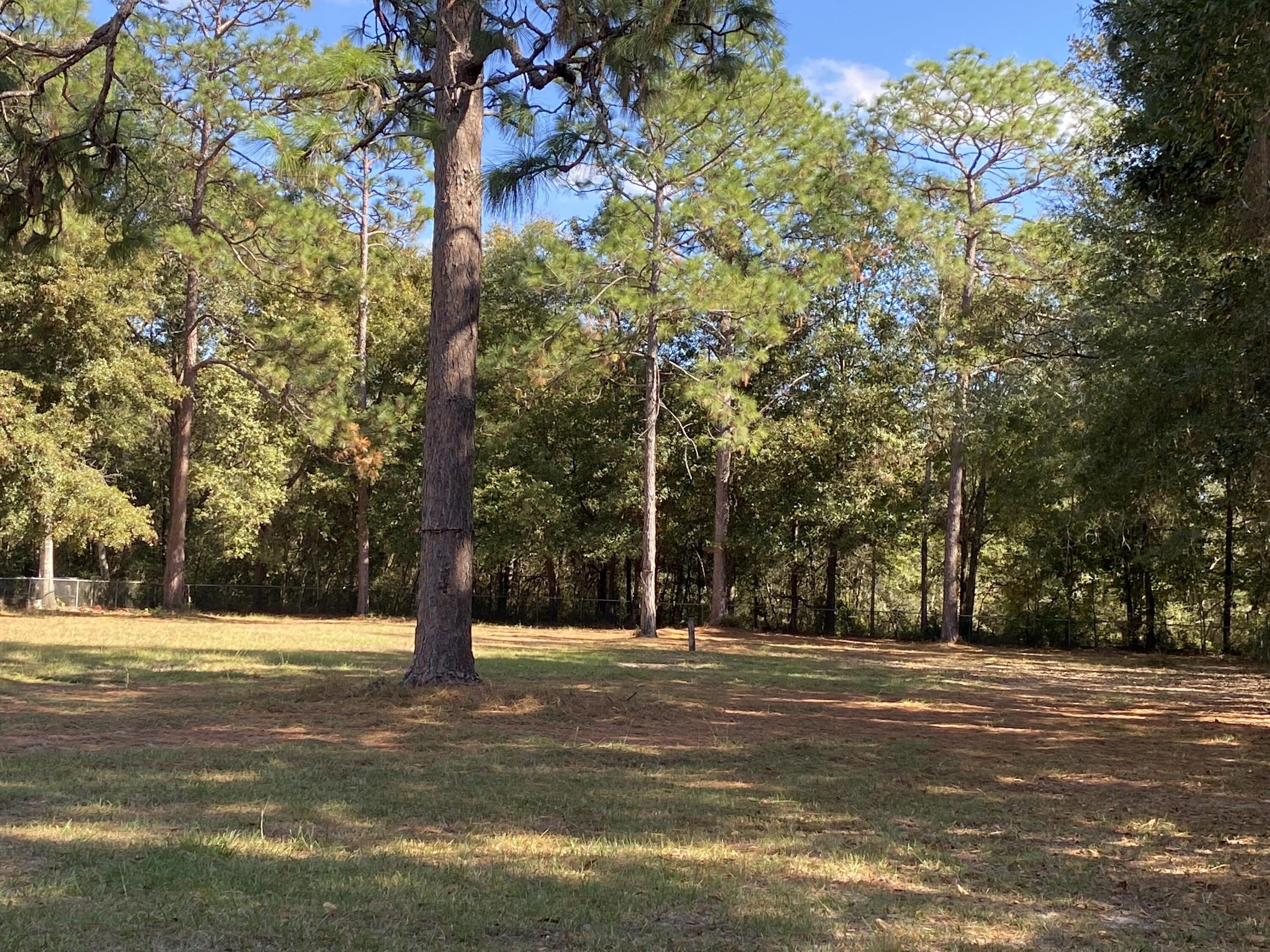 6173 Old Hickory Road Crestview, FL 32539 - Photo 19 of 22 a building with trees in front of it