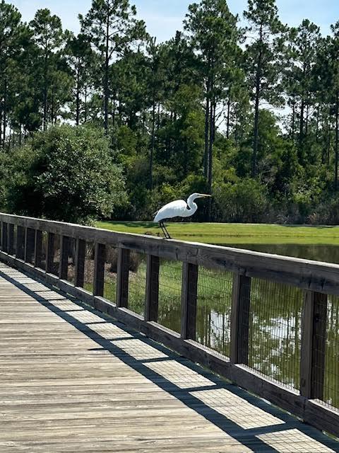 307 Sandchase Cir Inlet Beach Inlet Beach, FL 32461 - Photo 61 of 64 a view of a wooden deck