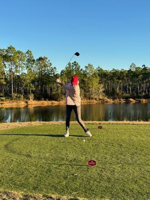 307 Sandchase Cir Inlet Beach Inlet Beach, FL 32461 - Photo 62 of 64 0-6